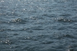 The East River Current
